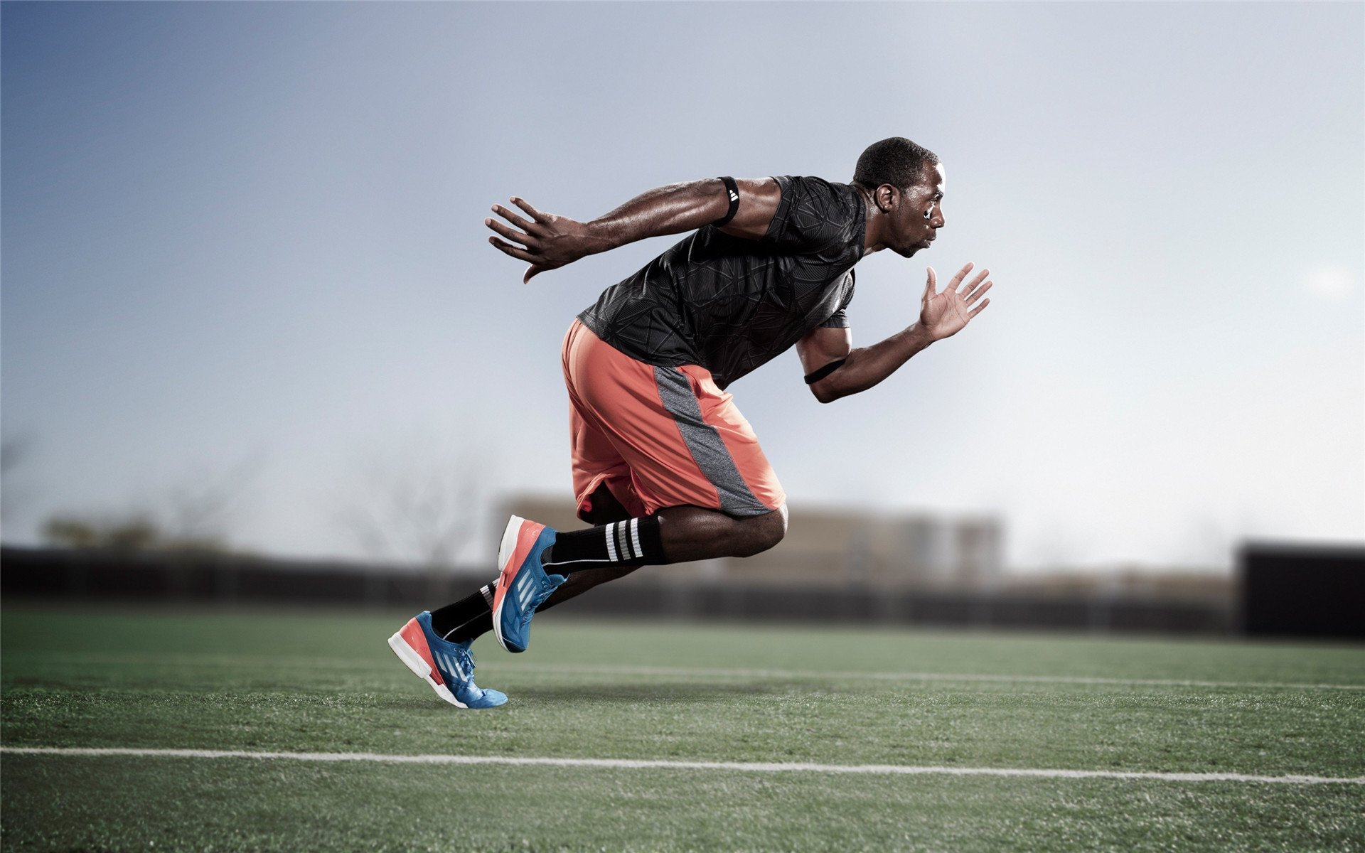 “未来新星:年度潜力排名榜单”,未来潜力新品