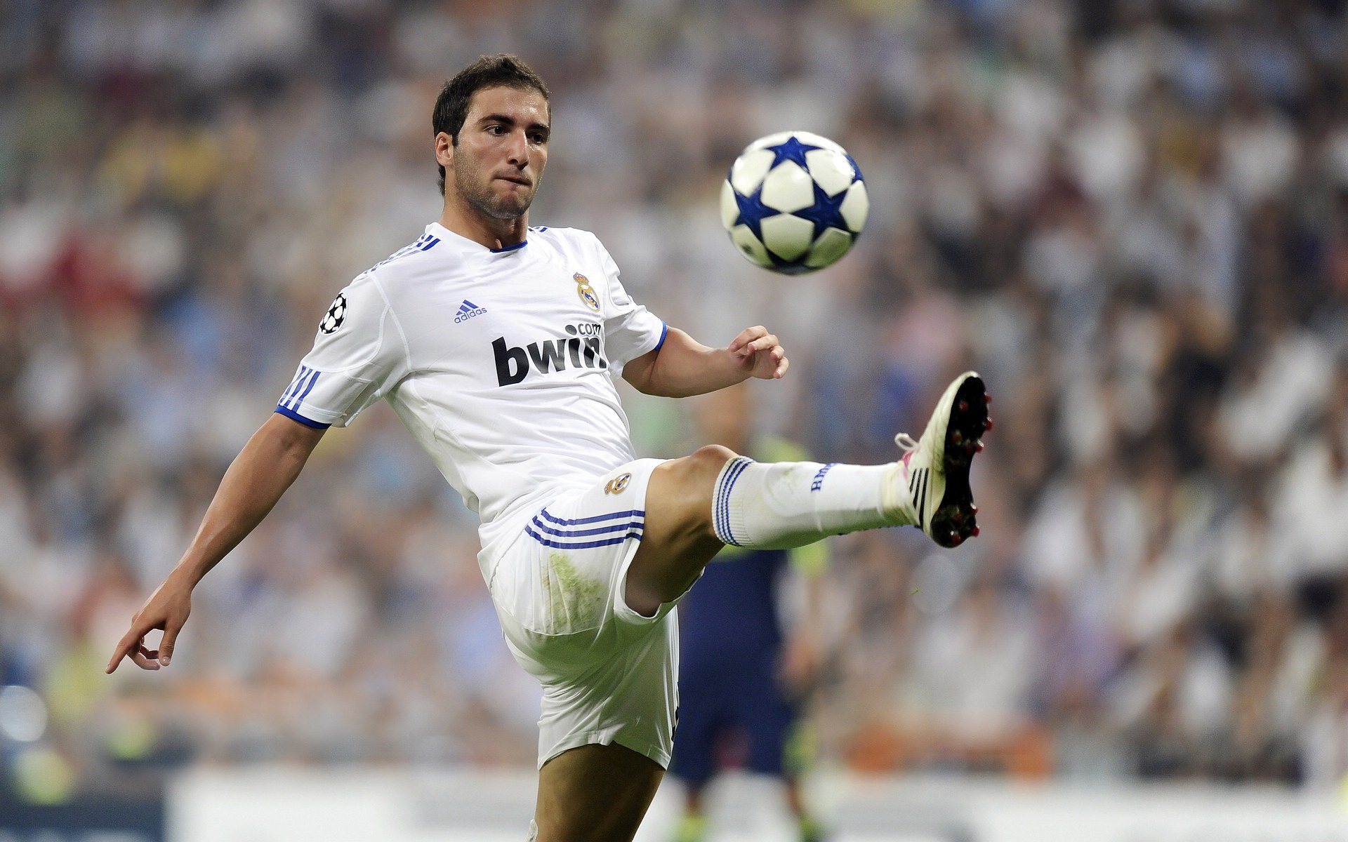 最具感染力的“欧冠胜利歌声”席卷全球，冠军欧洲胜利之光片尾曲